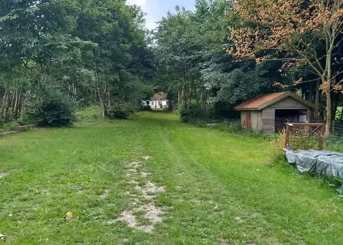 Cozy & Spacious For 4 Single Beds